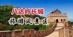 好看不卡的日逼好网站中国北京-八达岭长城旅游风景区